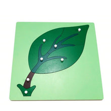 Load image into Gallery viewer, Botany Zoology Puzzles