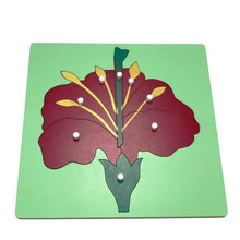 Load image into Gallery viewer, Botany Zoology Puzzles