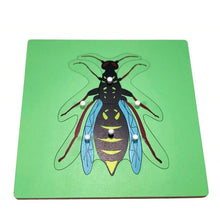 Load image into Gallery viewer, Botany Zoology Puzzles