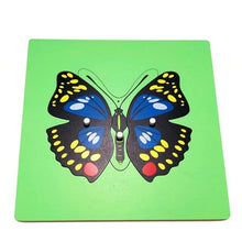 Load image into Gallery viewer, Botany Zoology Puzzles

