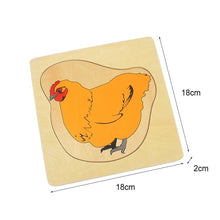 Load image into Gallery viewer, Science Toys
