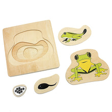 Load image into Gallery viewer, Science Toys Puzzles
