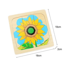 Load image into Gallery viewer, Science Toys Puzzles
